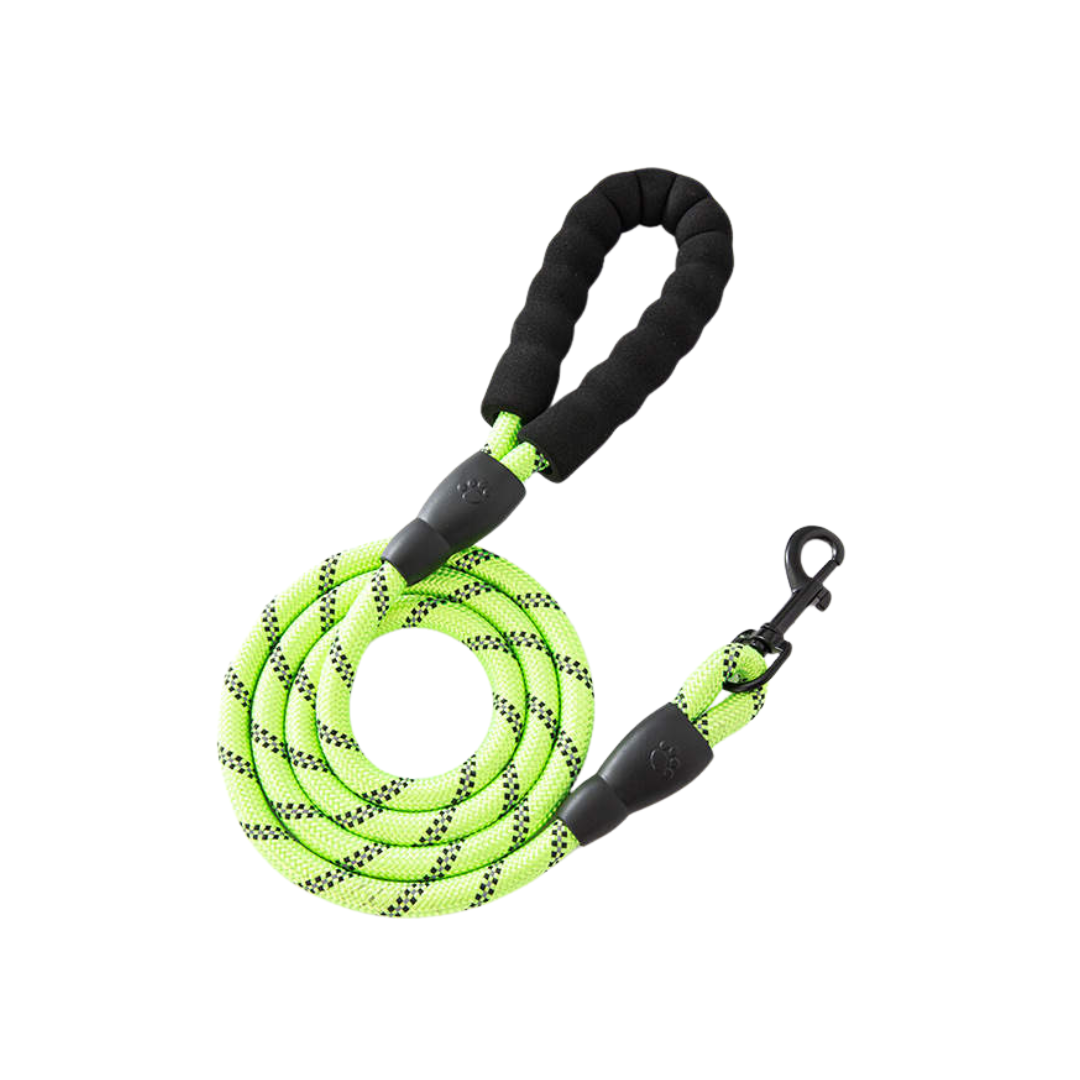 Leash