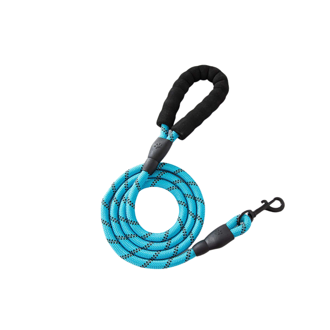 Leash