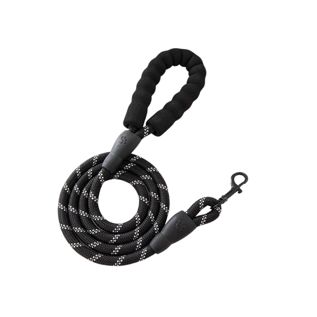Leash