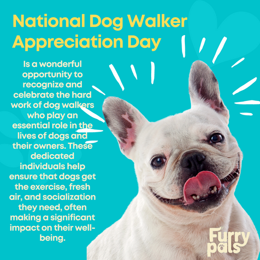 Happy National Dog Walker Appreciation Day! 🐕