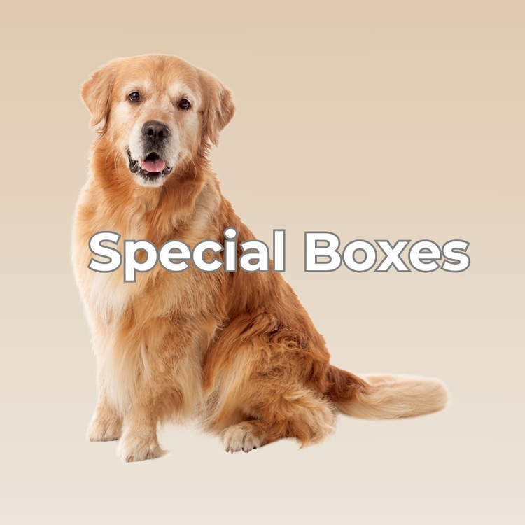 Special Boxes