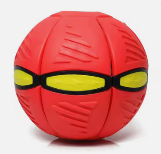 Interactive Ball Toy