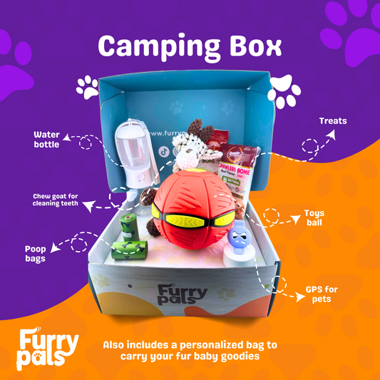 Camping Box